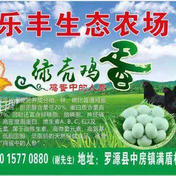 深耕源頭，鏈接餐桌 走進農產品批發供應商謝依燦的惠農網之路